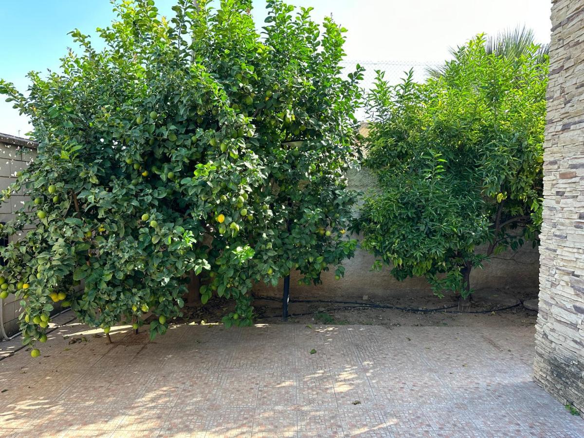 Apartmán Casa Peseta, Casa Rural Vallada Exteriér fotografie